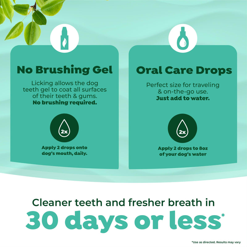 TropiClean Fresh Breath No Brush Total Care Kit | Dog Dental Hygiene| Dog Teeth Cleaning Made Easy | Water Additive No Brushing Toothpaste for Dogs - PawsPlanet Australia