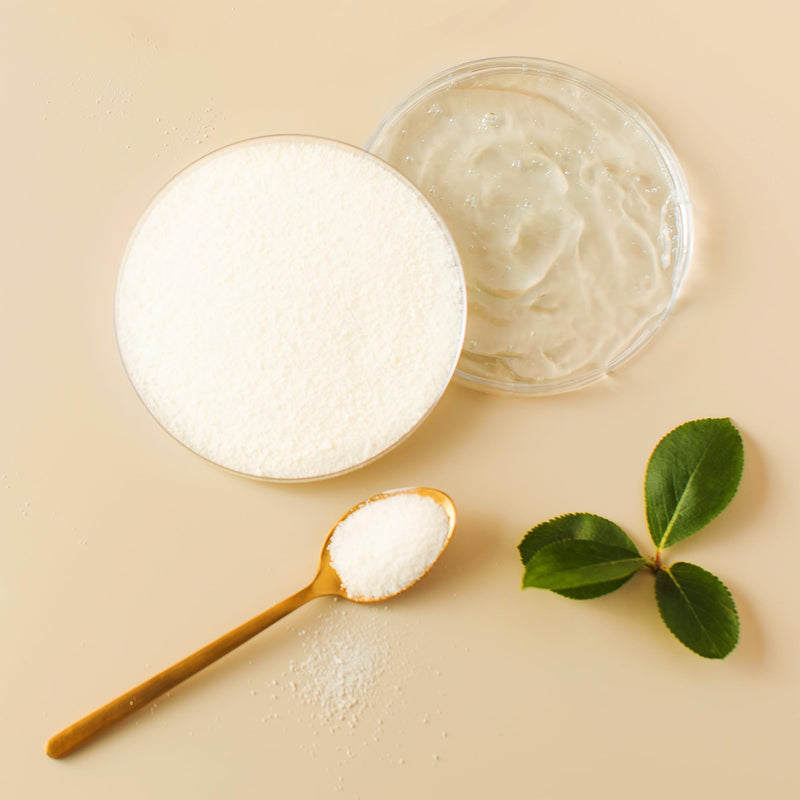 [Australia] - PURE ORIGINAL INGREDIENTS Hyaluronic Acid (8 oz) Water Soluble, Fine Powder 8 Ounce 