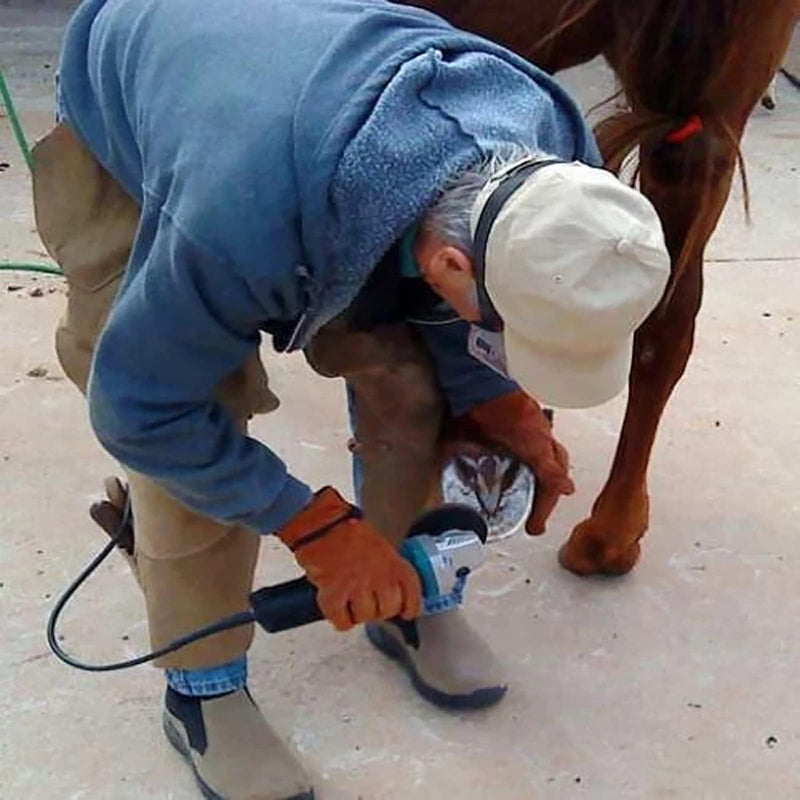 Arinda Goat Hoof Trimmers Tool - Professional Electric Hoof Trimming Disc, Metal Wood Carving Tools for Angle Grinder Attchments, Horses Cow Foot Repair (Blue 8 Teeth) Blue 8 Teeth - PawsPlanet Australia