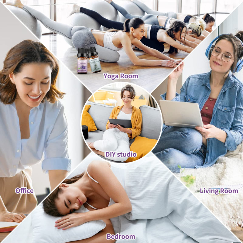 [Australia] - Sedbuwza Lavender Eucalyptus Essential Oil Set, Lavender Fragrance Oil Eucalyptus Scent Oil Set for Diffuser, Aromatherapy, Massage, Soap, Candle Making 2 x 10 ml Lavender + Eucalyptus 0.33 Fl Oz (Pack of 2) 