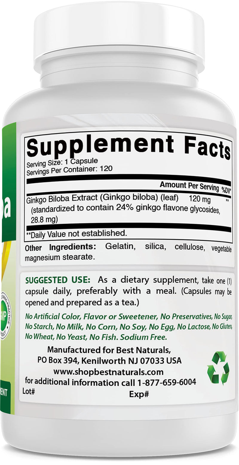 Best Naturals, Ginkgo Biloba Extract - Double Strength Ginkgo Biloba, 120mg, 120 Capsules (120 Count (Pack of 3))