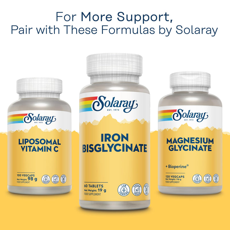 Solaray Gentle Iron Bisglycinate 25mg - 60 Vegan Tablets - High Strength Iron Supplement for Energy Support for Men & Women - with Added Alfaalfa Herb and Yellow Dock Root - Lab Verified