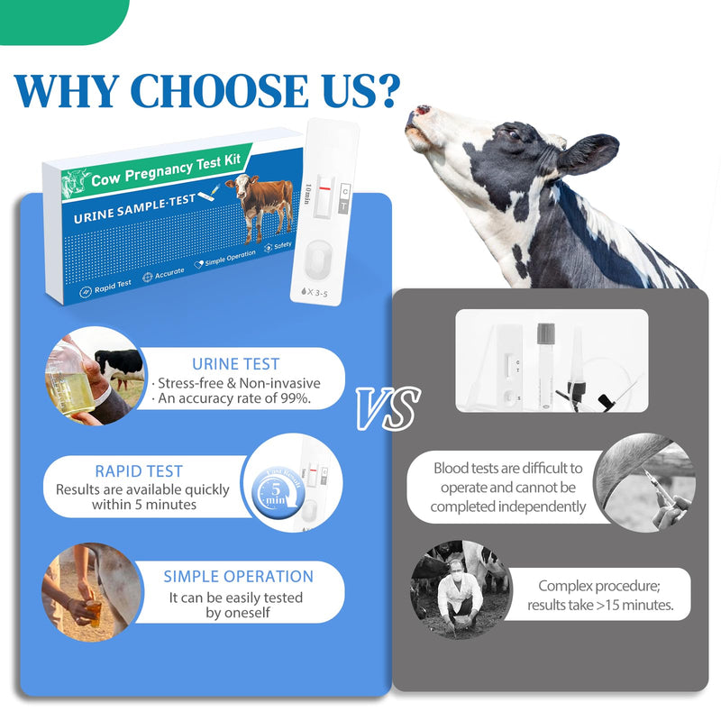 Non-Invasive Bovine Pregnancy Test Kit (2 Pack) - Painless Urine Test for Cattle, Stress-Free Early Detection, Fast Results in 5-10 Mins, Safe & Hygienic for Dairy & Beef Farms 1 Count (Pack of 2)