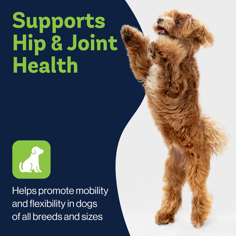 Dog Hip & Joint Supplement | Advanced Inflammation & Pain Relief with Glucosamine, Chondroitin, MSM, Hyaluronic Acid, Green Lipped Mussel, Turmeric, and Vitamin E. 60 Peanut Butter Chews - PawsPlanet Australia