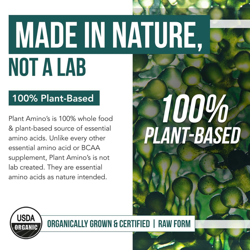 [Australia] - Plant Aminos Organic Essential Amino Acids (EAAs) & BCAA - 100% Plant-Based Raw, Vegan - All 9 Amino Acids with 18 Total Amino Acids (360 Tablets) 