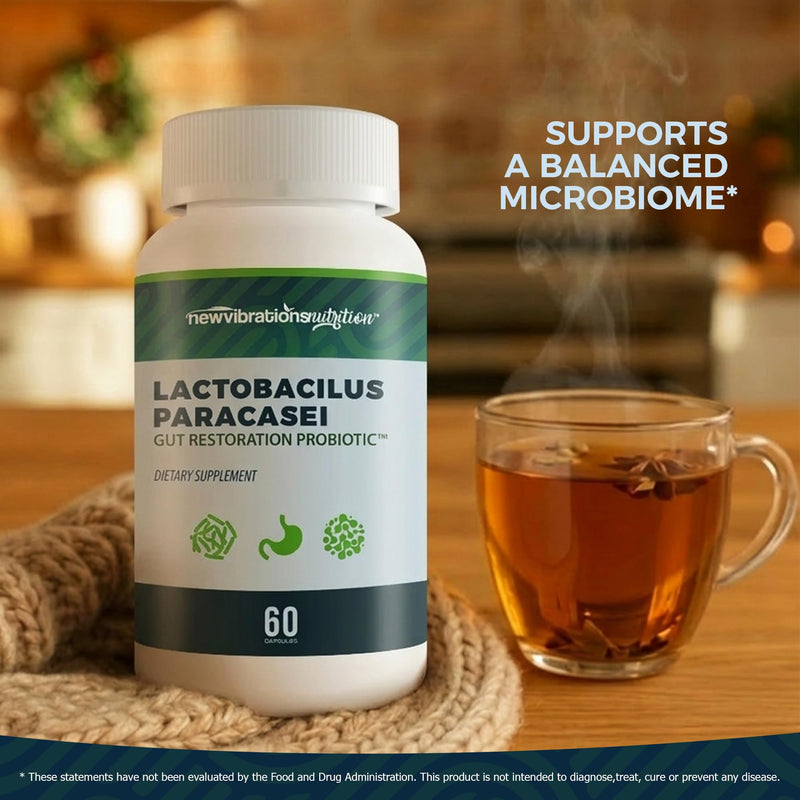 Lactobacillus Paracasei Gut Restoration Probiotic - Our Best Lactobacillus Paracasei Probiotic - Healthy Gut Microbiome Probiotics - Synbiotic Vitamin D Prebiotics and Probiotics for Women and Men