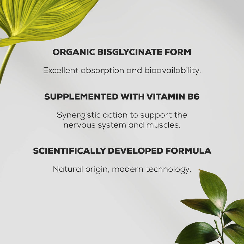 BioTechUSA Magnesium Bisglycinate from Organic Sources | Magnesium + Vitamin B6 | Highly Absorbable Organic Supplement | Muscle, Nerve & Energy Support, 90 Capsules