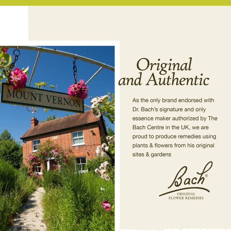 [Australia] - Bach Original Flower Remedies, Wild Rose for Enthusiasm (Non-Alcohol Formula), Natural Homeopathic Flower Essence, Holistic Wellness and Stress Relief, Vegan, 10mL Dropper 