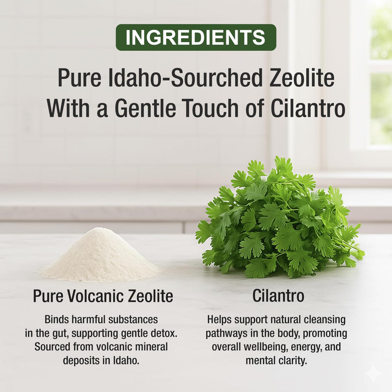 Zeolite Detox for Kids & Adults with Cilantro | Volcanic Mineral from Idaho | Zeolite Clinoptilolite Liquid Drops Gentle Cleanse Supplement with Vitamins B12 & D | Support Focus, Energy, Speech (2 fl oz)