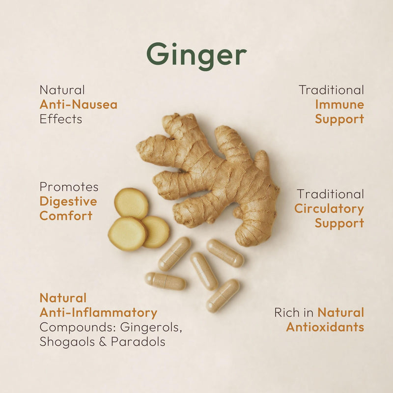 New: Organic Fermented Ginger – 120 Capsules – Highly Bioavailable – Digestive Comfort, Heart, Inflammation & Antioxidant Support – Vegan – UK Made Supplement – GMP Standards – Zero Additives