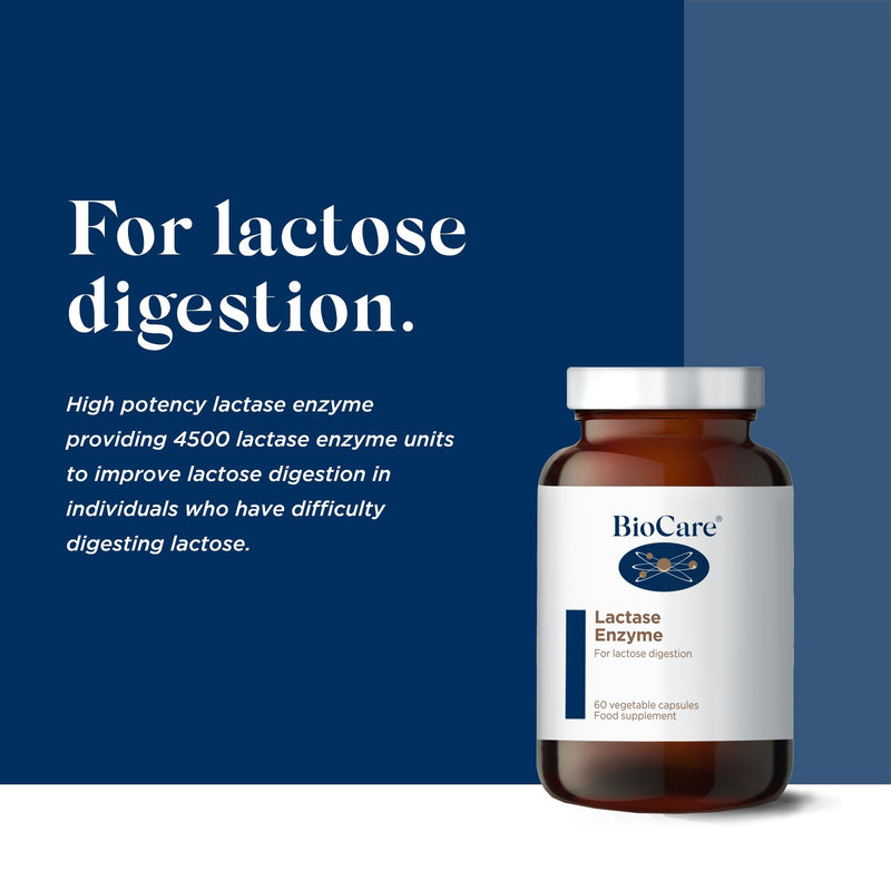 BioCare Lactase Enzyme - High Potency Capsules for Improved Lactose Digestion - Suitable for Vegetarians & Vegans - 60 Capsules 60 count (Pack of 1)