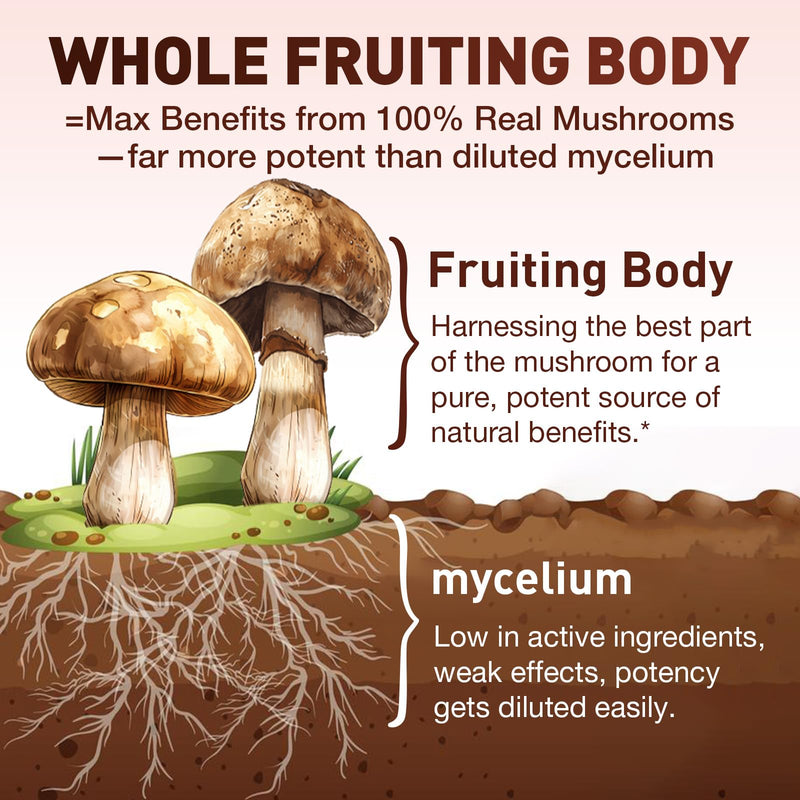 17-in-1 Mushroom Gummies High Strength 3000mg, Mushroom Complex Supplement with Lion’s Mane, Shiitake, Maitake, Reish, Black Pepper for Immune, Brain, Focus & Energy - 60 Vegan Gummies (Strawberry)