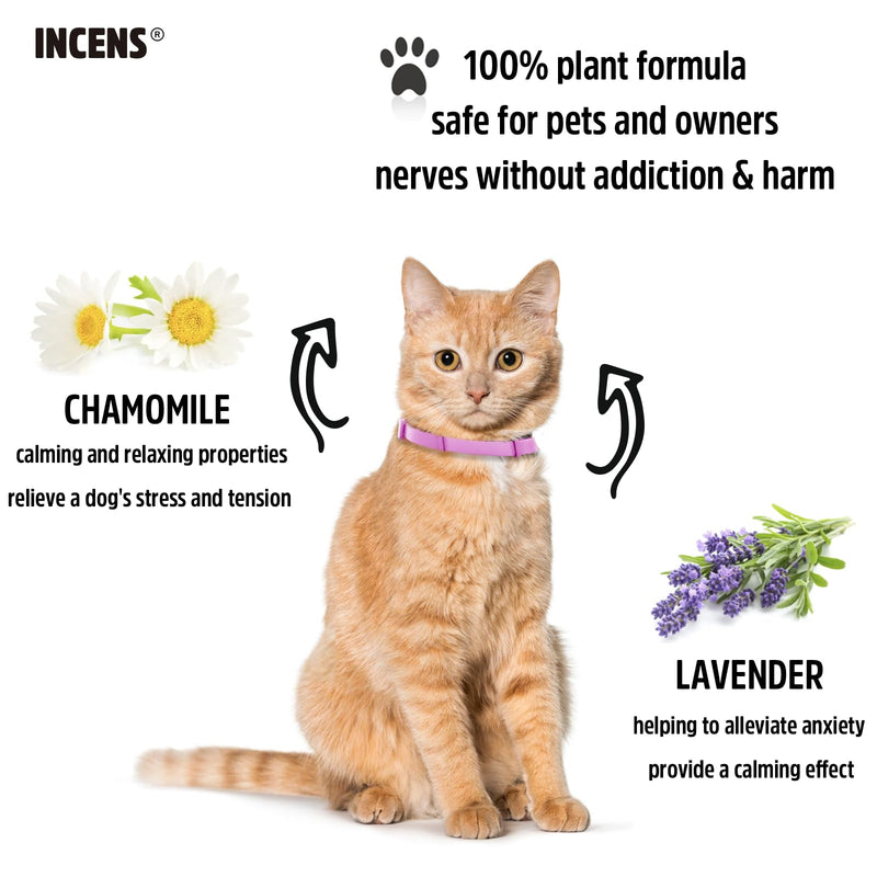 Calming Collar for Cats, Cat Calming Collar Anxiety Relief Adjustable,Essential Oil Collar with 45 Days for Kitten Medium Large Cats purple-1Pcs - PawsPlanet Australia