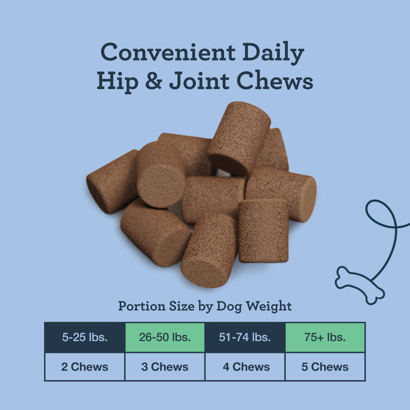 Kradle Daily Hip & Joint Chews - Mobility & Comfort Chews & Stress-Relief Support for Dogs - Soft Calming Chews with Soothing Ingredients - for All Dog Breed & Sizes - 75 Count Jar 75-count - PawsPlanet Australia
