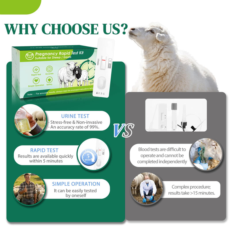 10-Pack Sheep & Goat Early Pregnancy Test - Detect Pregnancy in 5-10 Minutes with Urine, Easy Home Breeding Confirmation Kit for Accurate Livestock Management