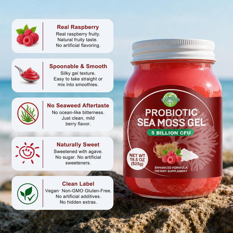 Sea Moss Gel with 5B CFU Probiotic for Digestive Support Raspberry 18.5oz | Irish Wildcrafted Seamoss Gel Raw Rich In Vitamins & Minerals Vegan Non-Gmo Gluten-Free 18.5 Fl Oz (Pack of 1)