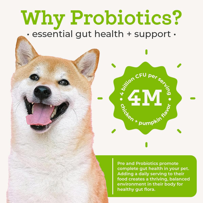 Dr. Joseph's VetPro Complete Advanced Powdered Pre & Probiotics for Dogs, 90 Scoops, Supports Gut Health, Diarrhea, Digestive Health & Seasonal Allergies, Chicken/Pumpkin Flavor, Add to Food - PawsPlanet Australia