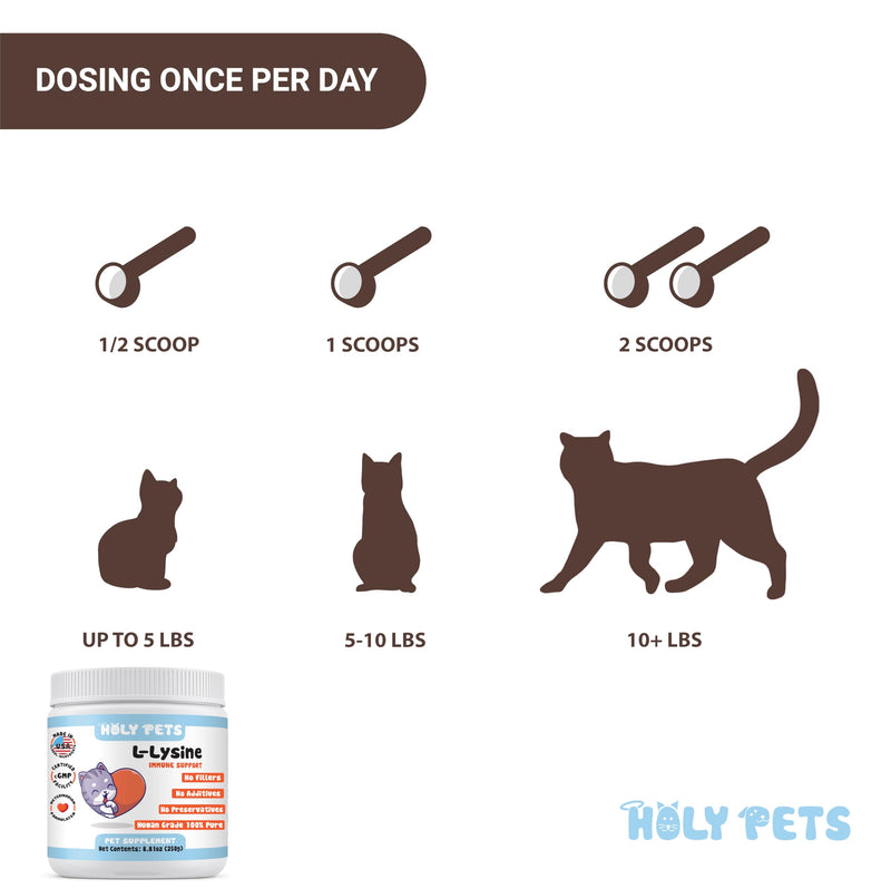 [Australia] - 100% Pure L-Lysine Powder for Cats ‚Äì No Fillers, Additives or Preservatives ‚Äì 1,000mg per Scoop ‚Äì Immune, Respiratory & Eye Support ‚Äì Helps with Sneezing, Runny Nose & Cold Symptoms 