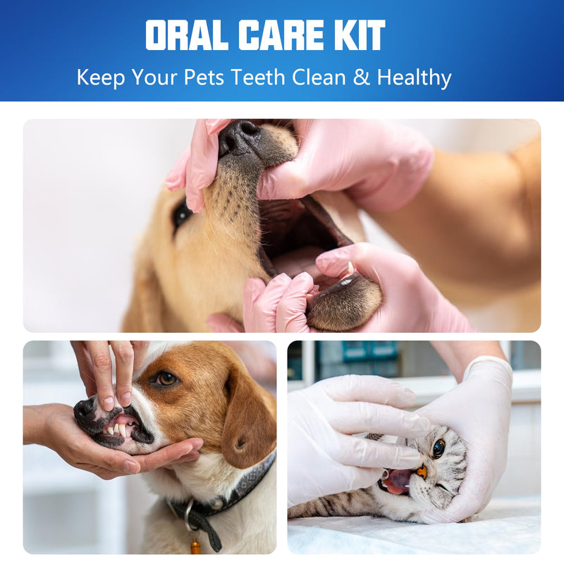[Australia] - 6 tooth cleaning set, dentist instruments, tartar remover for dogs and humans, dental care set, stainless steel dental cutlery, dental mirror, dental mirror, dental tweezers, dental probe, removing tartar yourself 