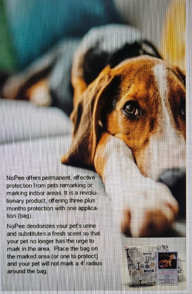 Dog Marking Prevention - Indoor -Permanent - Effective - Stops Dogs from Marking or Peeing -eliminates a Dog's urge to Mark - Put Bag Down and Your Problem is Solved! (Blue(Bones,Paws)) - PawsPlanet Australia