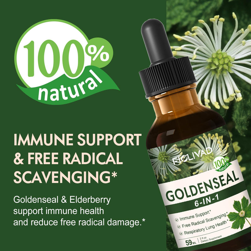 [Australia] - Goldenseal Root Extract Liquid Drop, 6-in-1 Formula for Immune and Respiratory Lung Health Support, Goldenseal Supplement with Echinacea Golden Seal, Mullein Thyme. Fast Absorption. 2oz Original 2 Fl Oz (Pack of 1) 