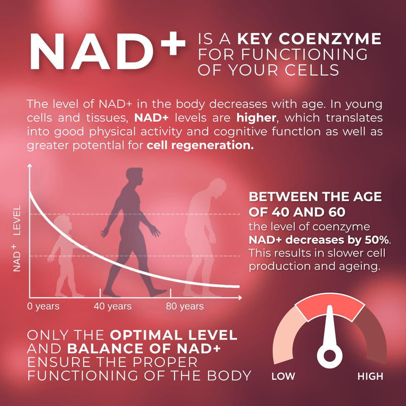 NAD+ Optimiser with Trans Resveratrol, 1-MNA, Zinc – Polyphenols & NAD Precursors – Supports Cellular Vitality & Energy – Vegan, Gluten-Free, Daily Antioxidant - 30 Capsules