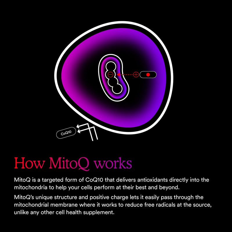 [Australia] - MitoQ Advanced CoQ10 Ubiquinol Supplement, Antioxidant Support for Mitochondria, Organ Health, Healthy Aging, and Cellular Energy (60 Veggie Capsules) 60 Count (Pack of 1) 