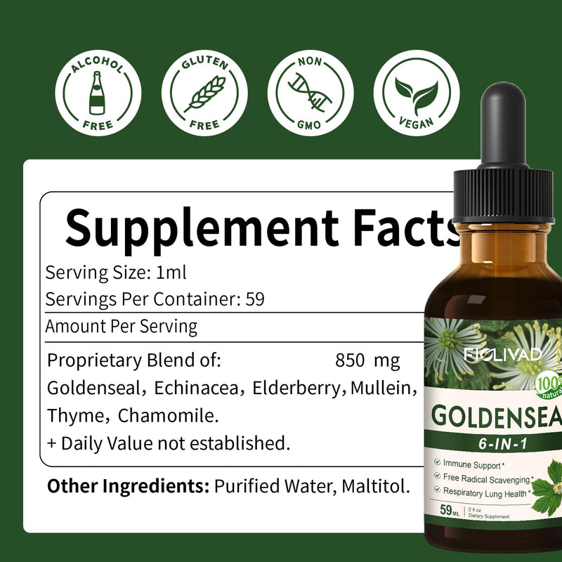 [Australia] - Goldenseal Root Extract Liquid Drop, 6-in-1 Formula for Immune and Respiratory Lung Health Support, Goldenseal Supplement with Echinacea Golden Seal, Mullein Thyme. Fast Absorption. 2oz Original 2 Fl Oz (Pack of 1) 