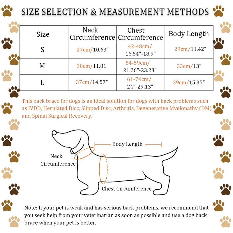 IVDD Back Brace for Dogs, Flexible Pet Dachshund Back Supporting Vest, Dog Back Bracer for Small Pet with Arthritis, Back Pain,Herniated Disc,Spinal Surgical Recovery (M) Medium - PawsPlanet Australia