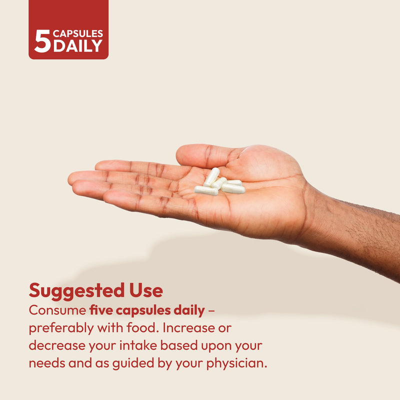 [Australia] - ANDREW LESSMAN Glucosamine 1500 Chondroitin 1200mg - 150 Capsules - 100% Sulfate Form, Research Established Ingredients and Levels for Support of Healthy Joint Tissue. Small Easy to Swallow Capsules 150 Count (Pack of 1) 