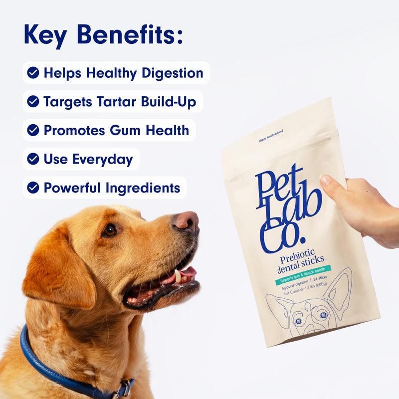 PetLab Co. Dental Sticks – Dog Dental Chews -Target Plaque & Tartar Build-Up at The Source - Designed to Maintain Your Dog’s Oral Health, Keep Breath Fresh and Provide Digestive Help (24 Sticks) Prebiotic 24 Count (Pack of 1) - PawsPlanet Australia