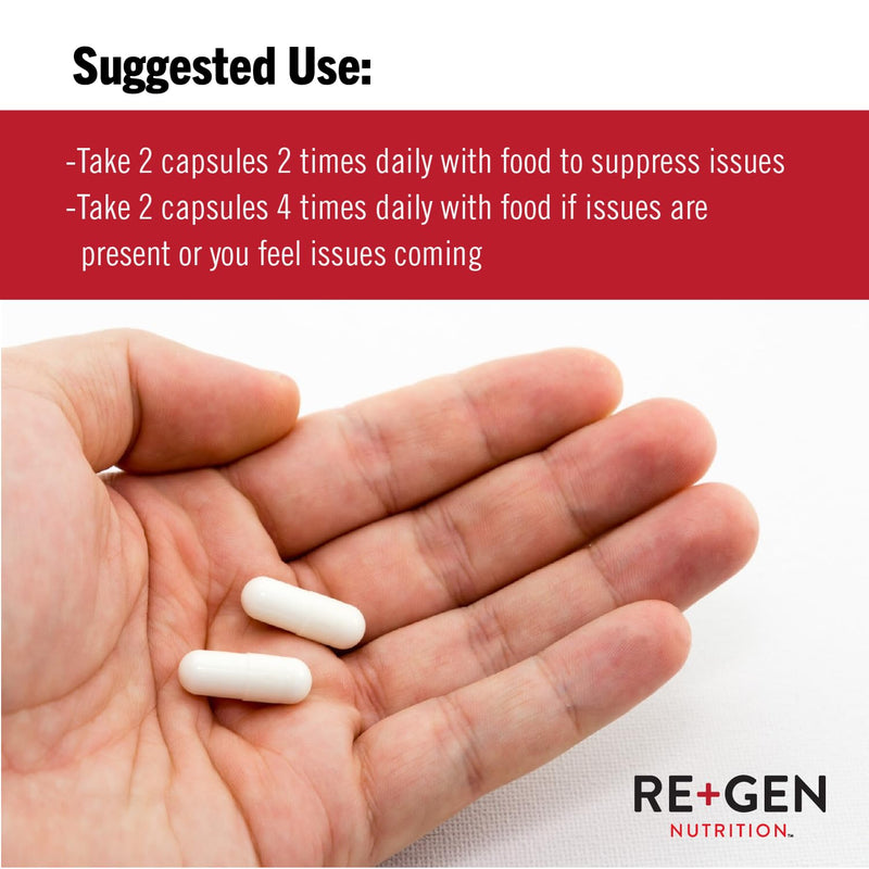 [Australia] - Immune Support Supplement for Adults, Natural Capsules with Zinc, Vitamin C, L lysine Amino Acid & Oregano Oil for Strong Immunity Health in Men & Women, 120 Capsules Immune Support Supplement 