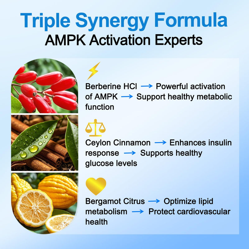 [Australia] - Premium Berberine Supplement Supports AMPK Metabolic, Liposomal Berberine with Ceylon Cinnamon - Classic 600mg Formula for Healthy Metabolism & Weigh*t - 3X Absorption - Vegan, Non-GMO, 120 Count Unflavoured 120 Count (Pack of 1) 