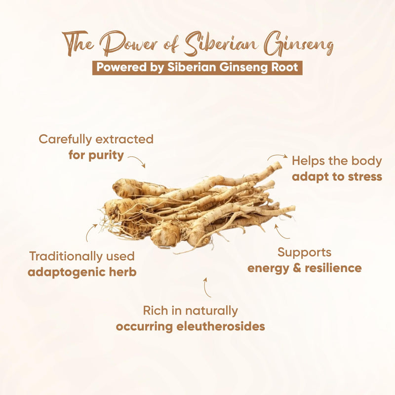 Vitaminnica Siberian Ginseng 500mg 5:1 Extract (Eqv. 2500mg)- 60 Capsules - High Strength Energy Supplement