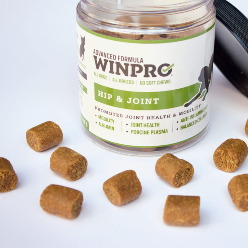 WINPRO | Dog Hip and Joint Supplement, Plasma-Powered Chews for Joint Support in Dogs of All Breeds and Sizes, Fast Acting with Collagen, 60 Count, Made in USA - PawsPlanet Australia