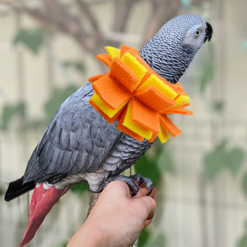 Neck Collar for African Grey Parrots Feather Plucking Bird Anti Bite Collar Neck Shield - PawsPlanet Australia