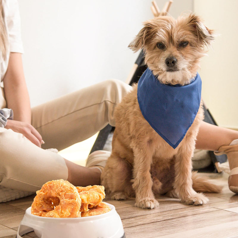 Jungle Calling Dog Treats Long Lasting, Rawhide Chews for Dogs, Chicken Wrapped Rawhide Donuts, Chewy Snacks for Medium Large Dogs Chicken Rawhide Donuts - PawsPlanet Australia