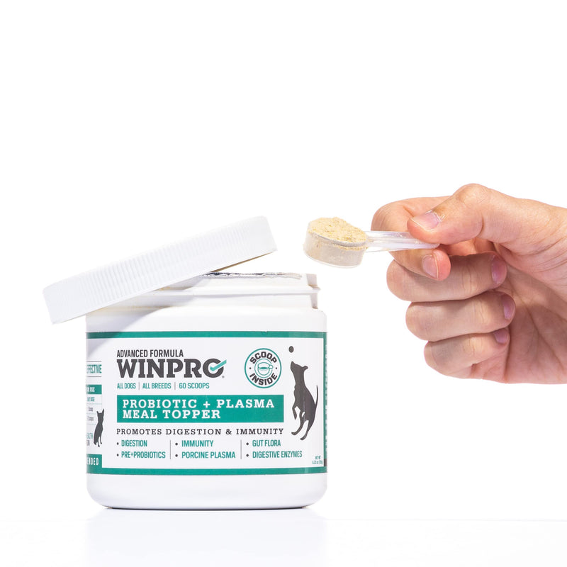 WINPRO Dog Probiotic Powder Meal Topper, Spray Dried Plasma with Prebiotics and Probiotics for Digestive Support and Gut Health for Dogs, All Breeds, Ages, and Sizes, 60 Scoops, Made in USA - PawsPlanet Australia