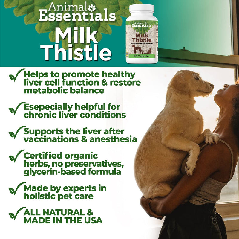 Animal Essentials Milk Thistle Liver Support for Dogs and Cats, 30 Capsules - Made in USA Liver Supplement - PawsPlanet Australia