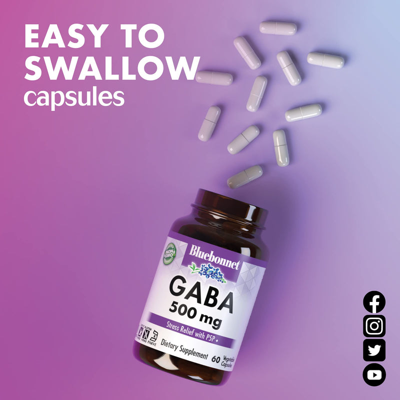 BlueBonnet Nutrition GABA 500 mg, 60 Vegetable Capsules | For Stress Relief & Supports Relaxation; Non-GMO, Vegan, Kosher, Gluten-Free, Soy-Free 60 Count (Pack of 1)