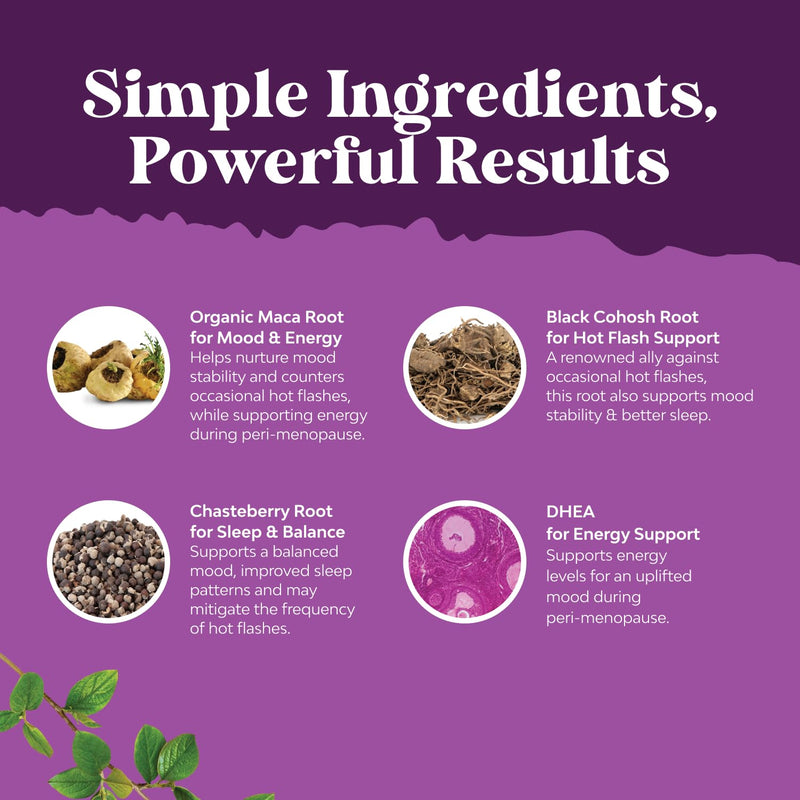 Bundle of Perimenopause Supplement with Maca Root Vitex Berry Black Cohosh for Hot Flashes Night Sweats Hormone Balance & Mood and Delicious Daily Women's Multivitamin Gummies for Energy and Immunity
