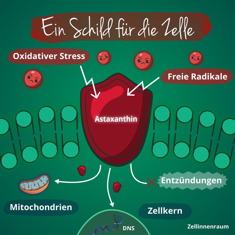 [Australia] - High-dose organic astaxanthin | Natural raw material from the EU – gentle CO2 extraction | Vegan | Algae + olive oil | Laboratory tested | 60 capsules | German production of Vegavero® 