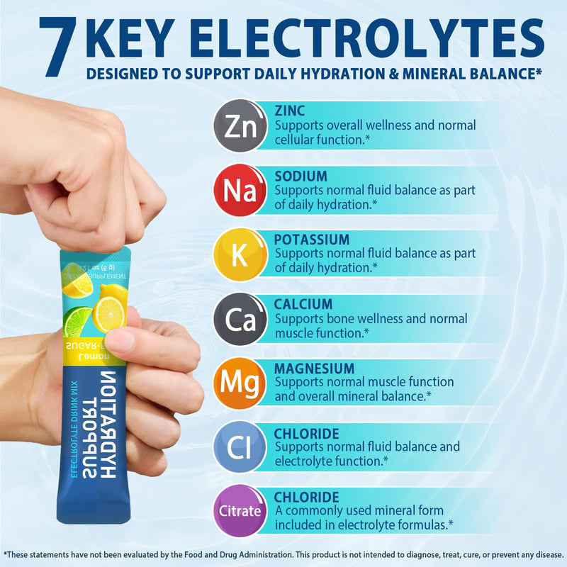 24 Pack Electrolyte Powder sachets, Electrolytes sachets Sugar Free Hydration Support with 6 Flavours, Liquid Daily IV Electrolyte Drink Mixes for Rehydration with Electrolytes