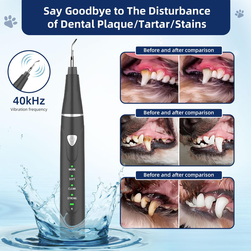 [Australia] - Dental Plaque Remover Tool-，Dental Scraper for Tartar and Plaque 3 Cleaning Moder USB Charge Teeth Cleaning Tools with LED Light Black 