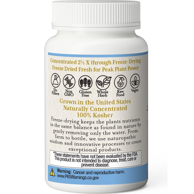 [Australia] - ECLECTIC INSTITUTE Raw Freeze-Dried Goldenseal Capsules | Supports Immune Function | Supports Healthy Sinuses | Supports Mucous Membrane Health | 50 CT (400mg) Blue 50 Count (Pack of 1) 