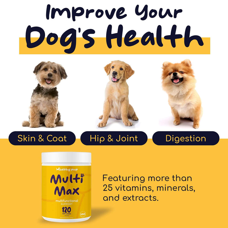 Dog Multivitamin Supplement - 120 Soft Chew Dog Vitamins and Supplements with Omega, Probiotics, Glucosamine, and More - for Small, Large, and Senior Dogs - PawsPlanet Australia