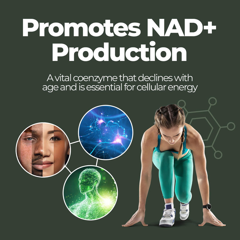 NAD+ Nicotinamide 60 Capsules | High Strength NMN Supplements UK | Supports Anti-Aging, Energy, Cellular Health & Longevity | Sepismart SR Sustained Release 60 count (Pack of 1)