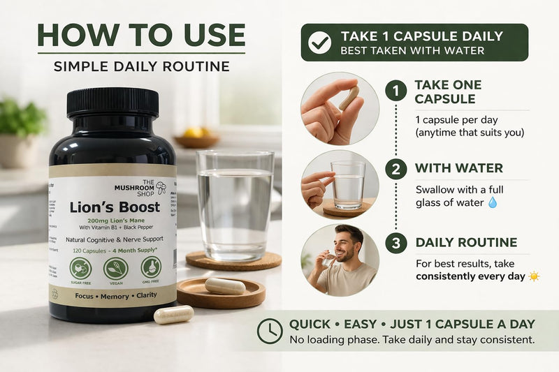 Lion’s Mane Capsules 200mg (10:1 Extract) – 120 Capsules (4 Month Supply) – with Vitamin B1 & Black Pepper – Mushroom Shop
