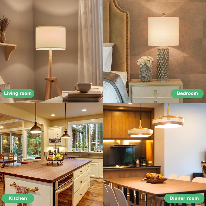 [Australia] - LED Light Bulbs Daylight 5000K, 60 Watt Equivalent LED Bulbs, A19 Standard Bulbs, 800 LM, 15000 Hours, E26 Base, Non-Dimmable, 8.5W LED Bulbs for Bedroom Living Room 24 Pack 60w-daylight 