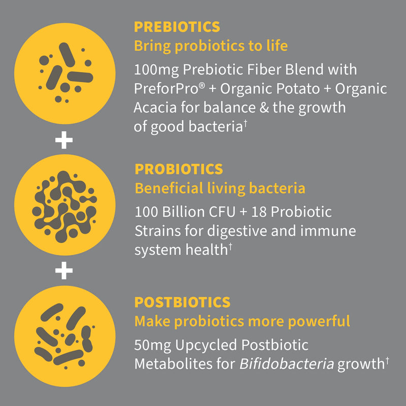 [Australia] - Garden of Life Dr Formulated Once Daily 3-in-1 Complete Probiotics, Prebiotics & Postbiotics Supplement for Women and Men‚Äôs Digestive & Immune Health ‚Äì Extra Strength, 100 Billion CFU, 30 Day Supply 
